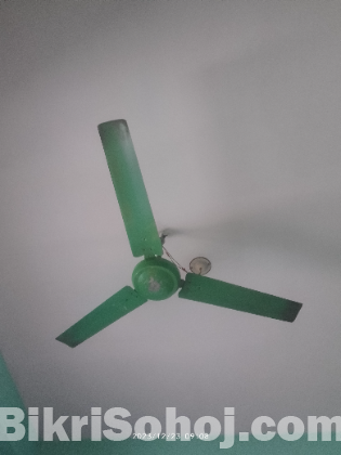 Fan